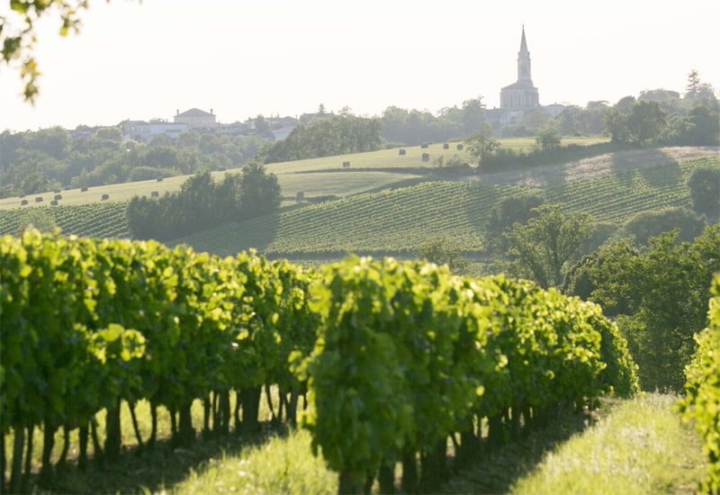 Barsac-Wine-Region-3.jpg