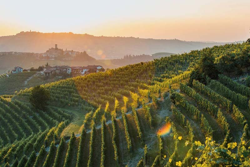 Piedmont Wine Region 