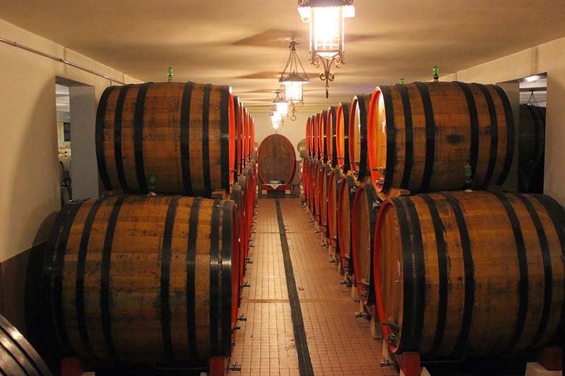 Bolla Winery Barrels