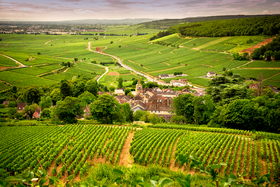 Burgundy Wine Region