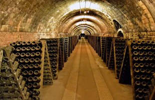 Cava Wine: Regions, Styles, 8 Best Bottles to Try (2021)