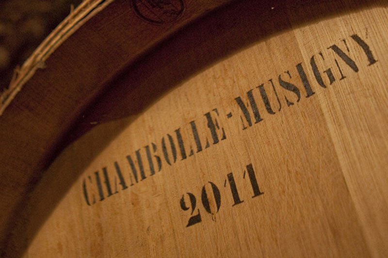 Chambolle Musigny barrel 2011