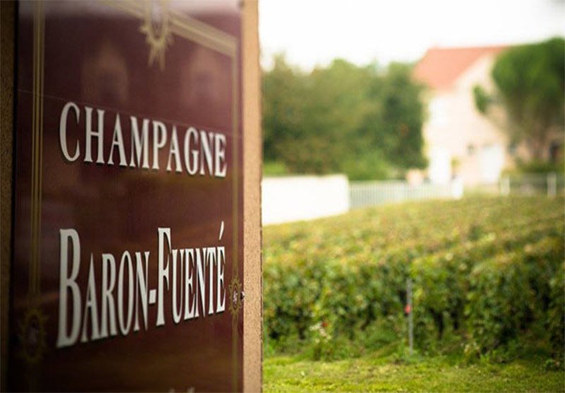 Champagne Baron Fuente vineyard