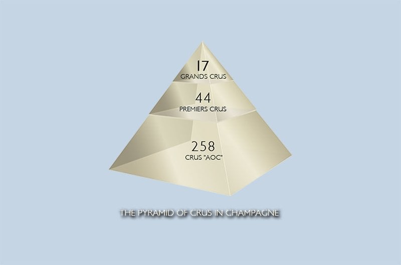 Grand Cru Wine: Champagne Cru Levels