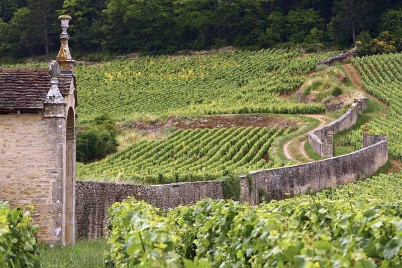 Charmes Chambertin Domaine Armand Rousseau