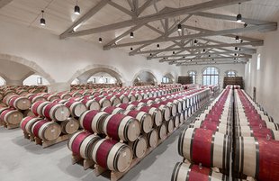 Calon Segur Wine (Vineyards, 8 Best Vintages, Prices 2021)