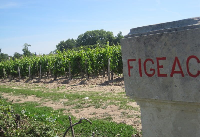The 54 hectare gravelly vineyard of Chateau Figeac lies to the northwest of the Saint Emilion appellation in Graves.