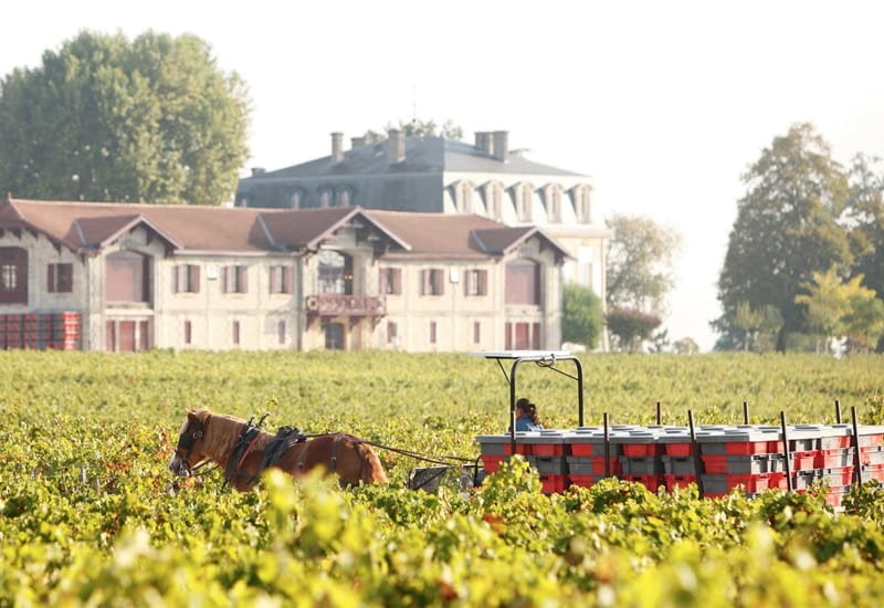 Chateau-Pontet-Canet.jpg