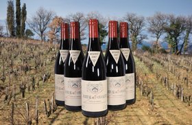 Chateau Rayas Winemaking, Best Wines, Prices 2022