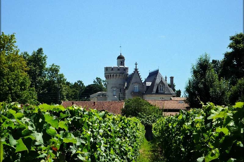 The vineyard of Chateau Pape Clement Pessac Leognan is situated in the Graves viticultural area and covers 32.5 hectares.