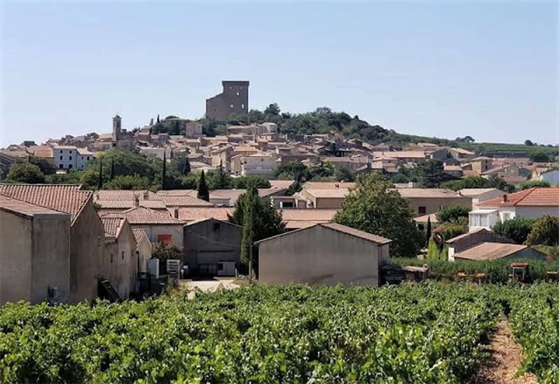 Chateauneuf-du-Pape-2010-2.jpg