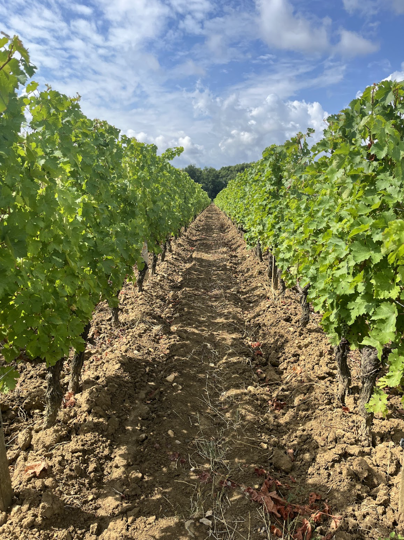 Winery