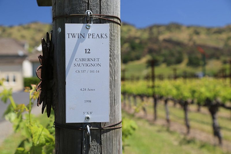 Cliff Lede Twin Peaks Vineyard