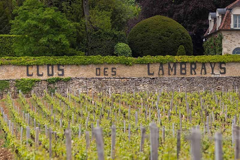 Clos des Lambrays