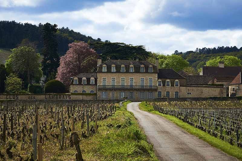 Clos des Lambrays