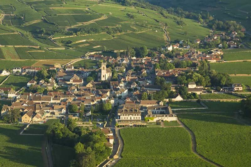 Cremant De Bourgogne Vineyards, South of Champagne