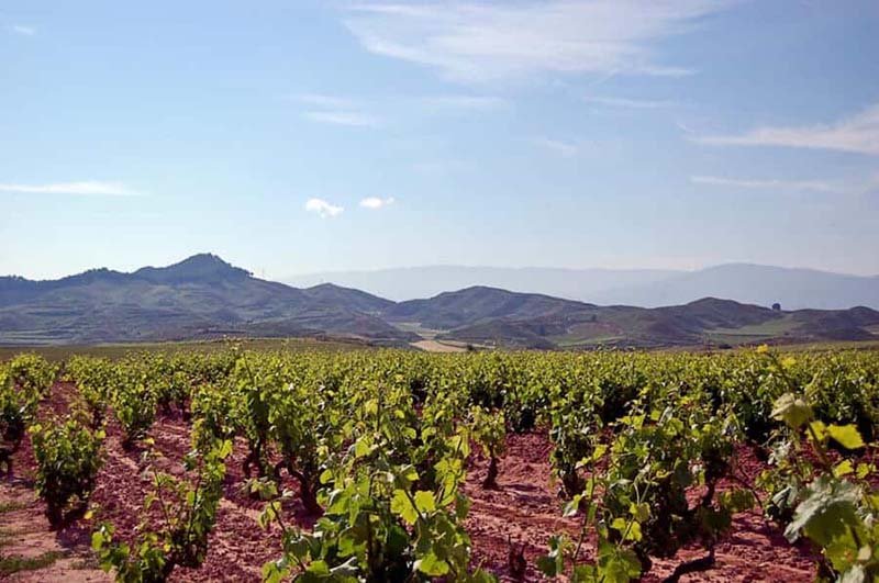Crianza, Rioja wine region
