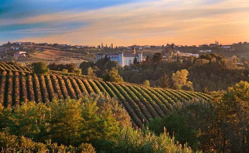 Dolcetto Wine Region