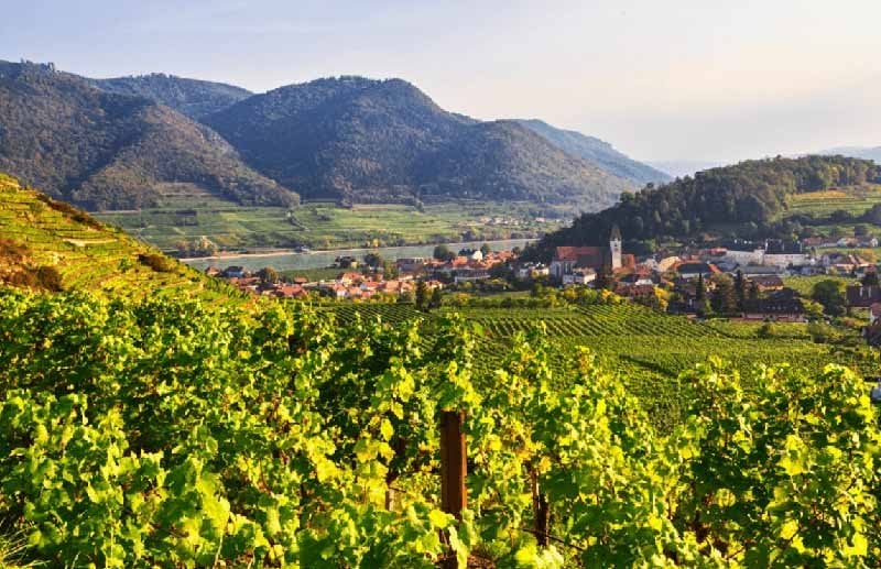 Austria Wine Region