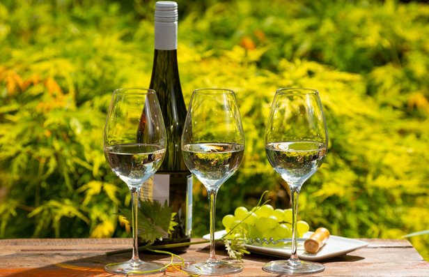 Dry Riesling: 10 Fantastic Bottles (2025), Flavors, What Makes It Dry