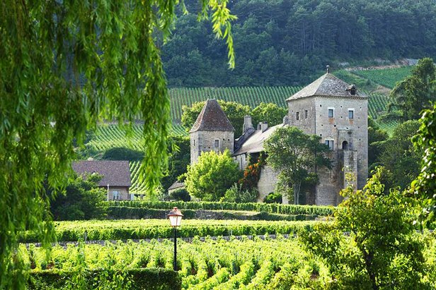 Gevrey Chambertin (Terroir, Winemaking, Best Wines 2025)