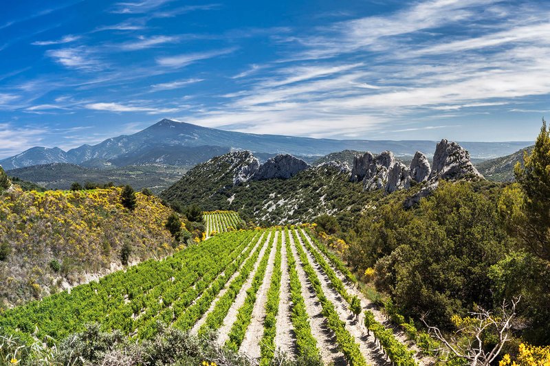 The Rhone Valley Appellation d&#x27;Origine Controlee (AOC) is the second biggest wine region in France