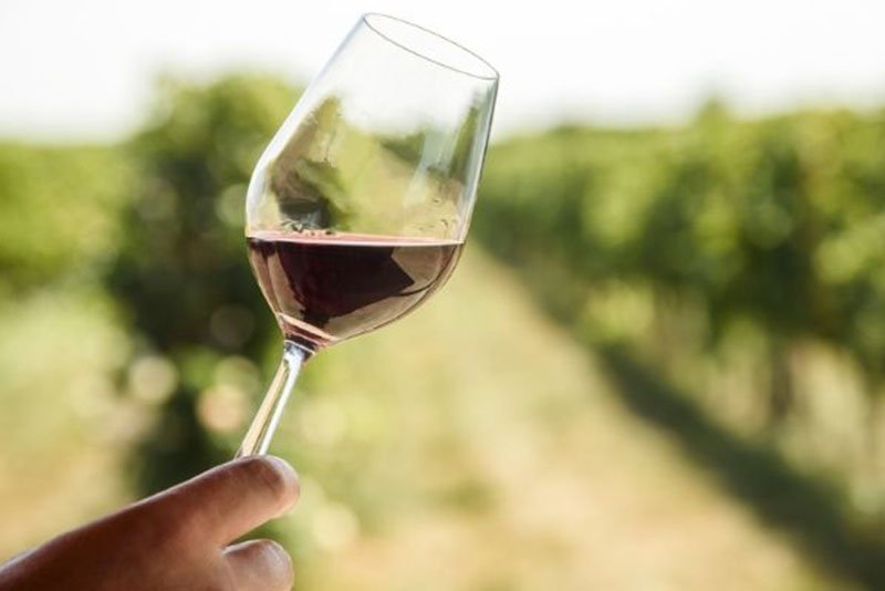 Investing in Spanish Wine