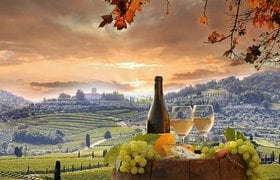 Italian Wine: Regions, Best Wines, Prices 2021