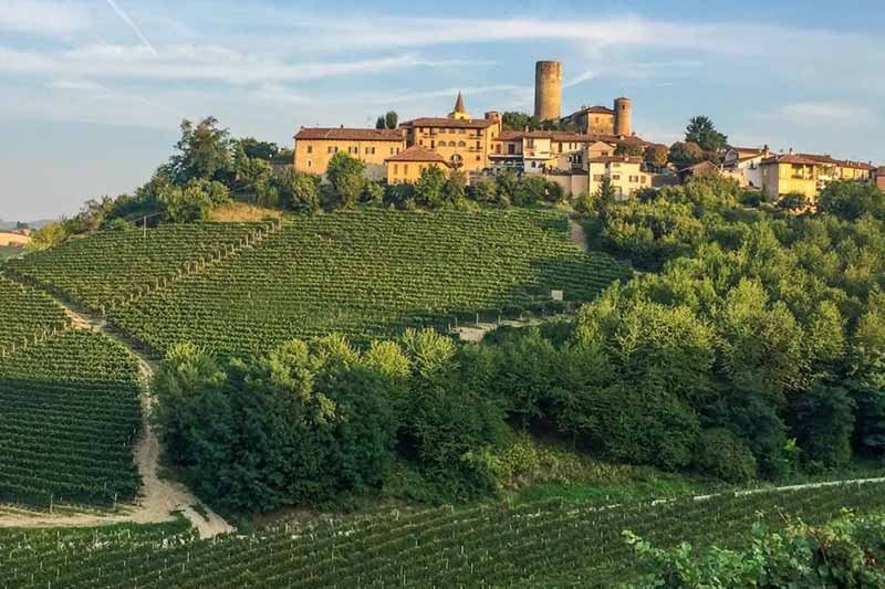 Piedmont Wine Region, Italy