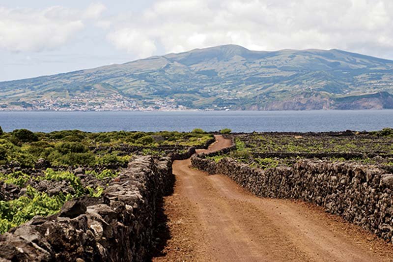 Madeira and Pico Island