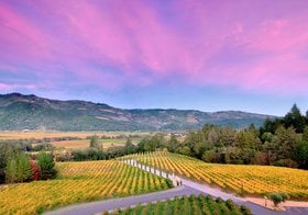 Napa Valley Wineries.jpg