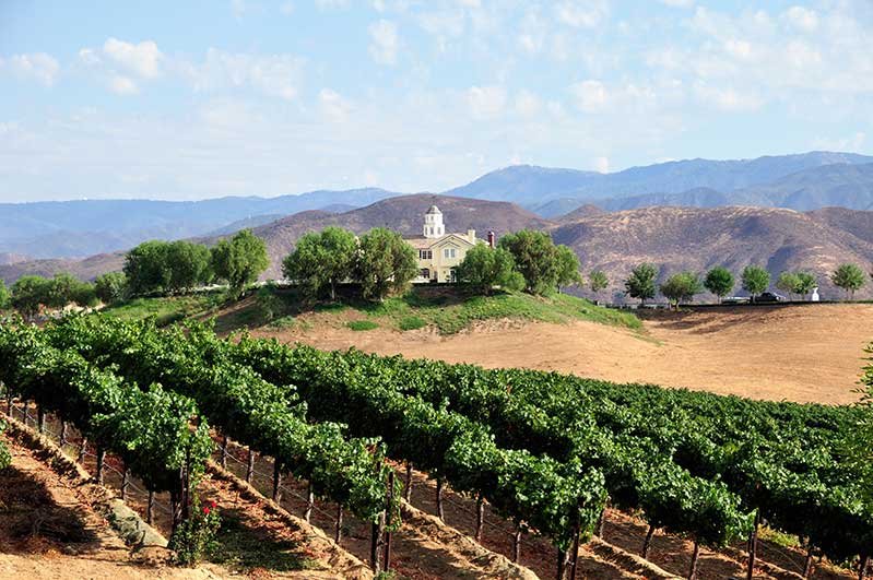 Napa Valley Winery.jpg