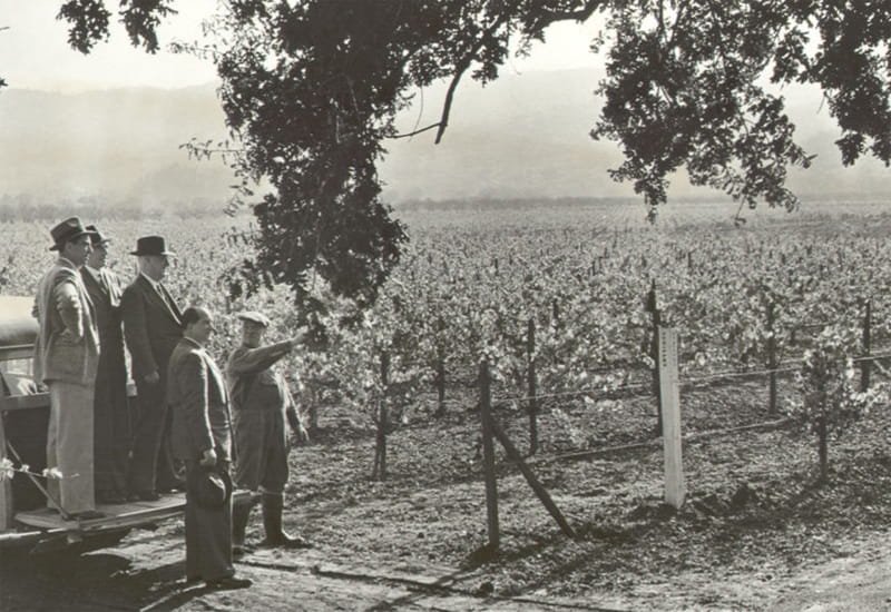 In 1900, after selling his thriving cream of tartar business, he bought a 4-acre ranch that was to be the original Rutherford vineyard. 