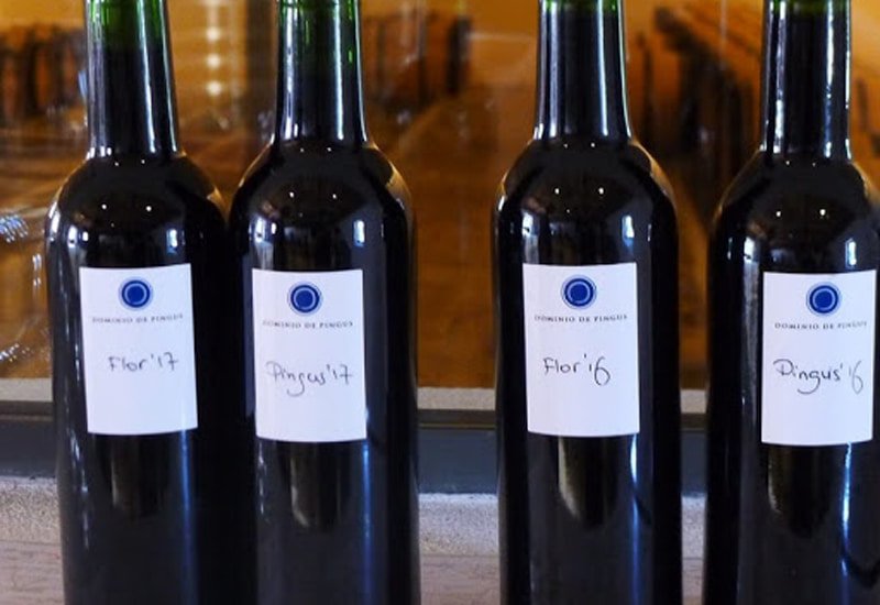 Let’s take a quick look at other fantastic Pingus wines produced by this Spanish bodega. 