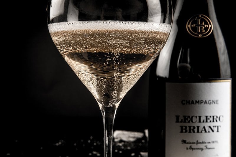 Pinot-Meunier-champagne.jpg