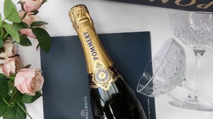 Pommery Champagne, how it's made, the best 8 wines to buy