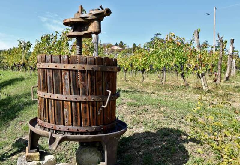 Wine making process: Pressing