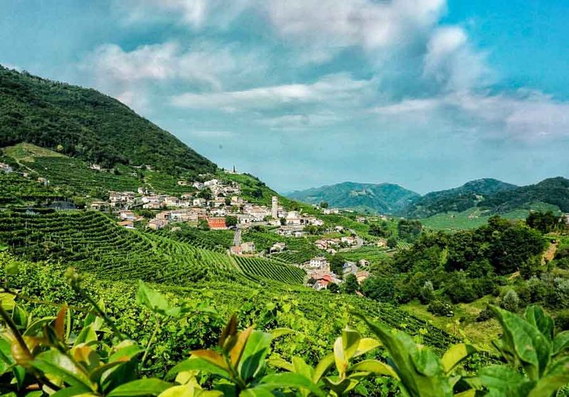 Prosecco wine region of Italy
