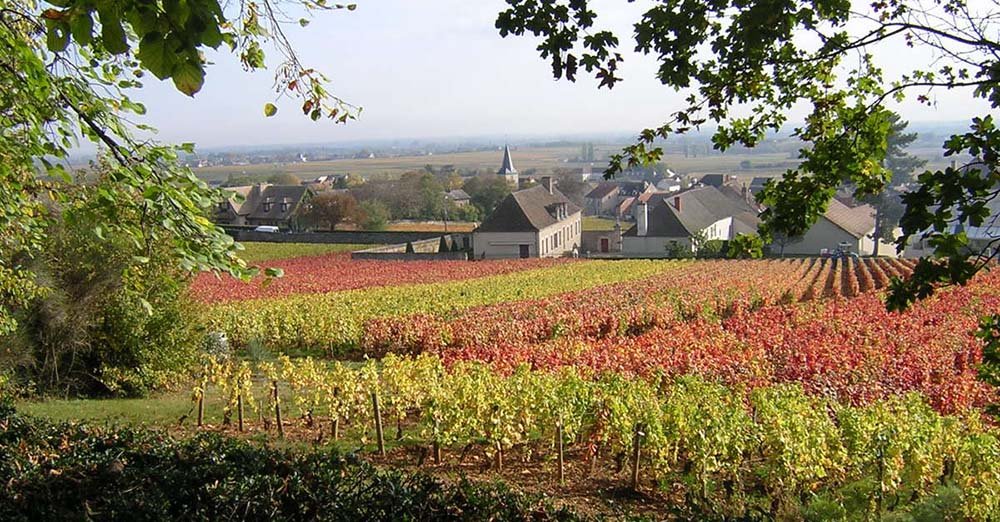 Puligny Montrachet Burgundy Vineyards 10 Best Wines 2025 Puligny Montrachet Burgundy Vineyards 10 Best Wines 2025