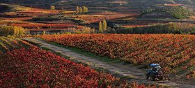 Rioja Alta Wine Region