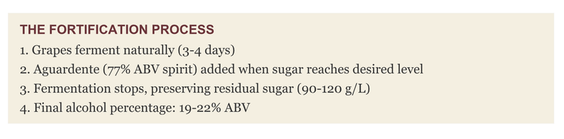 Screenshot 2026-01-28 at 3.03.12 PM