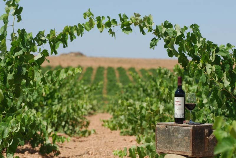 Spanish Wine Region Castilla la Mancha