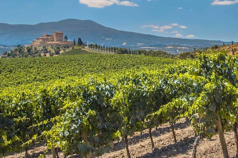 Spanish Wine Region Madrid