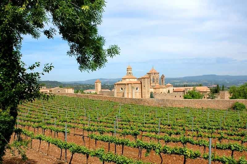 Spanish Wine Region Catalonia
