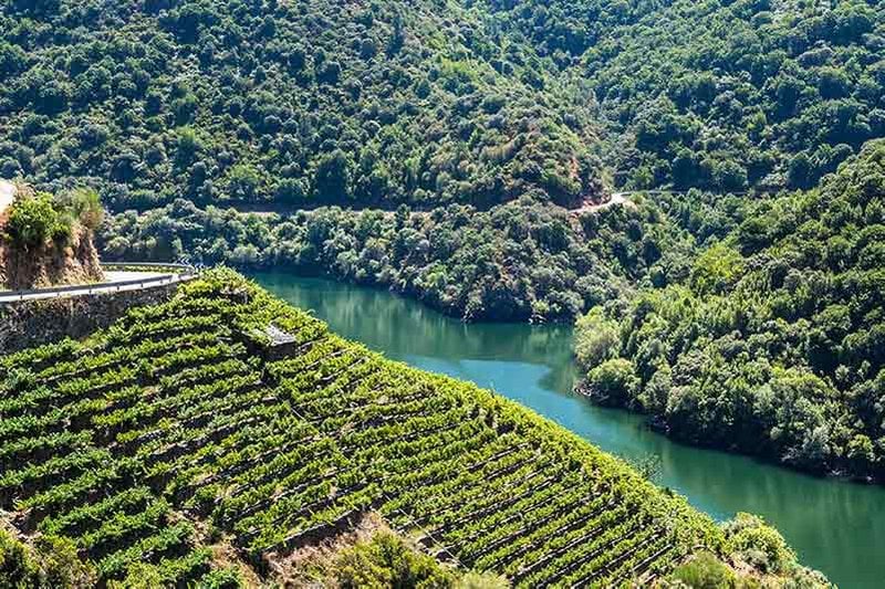 Spanish Wine Region Galicia