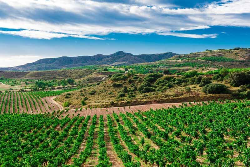 Spanish Wine Region Jumilla