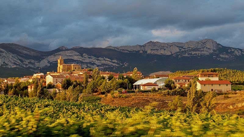 Spanish Wine Region Rioja