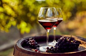 Super Tuscan Wine, What is it, 10 best wines of 2021