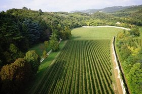 This file is licensed under the Creative Commons Attribution-Share Alike 4.0 International license. Original file from https://commons.wikimedia.org/wiki/File:Tenuta_Santa_Maria_-_Amarone_Classico_Vineyards_-_Clos_of_Villa_Mosconi_Bertani.jpg