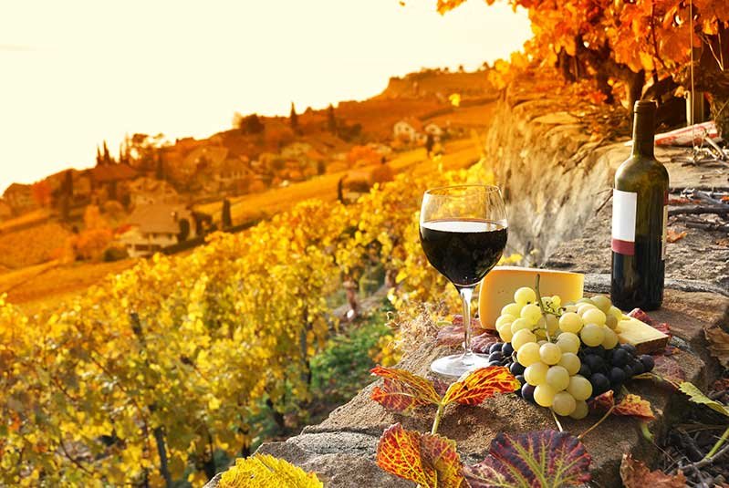 Tuscan Wine taste